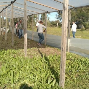 Construcción de un nuevo invernadero en la Huerta Municipal