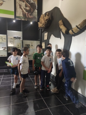 Exposición en el Museo Paleontológico