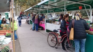 Feria Municipal: productos de la economía social a precios accesibles