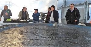Curutchet visitó Aquidar, la planta de hidroponia en Marcos Paz