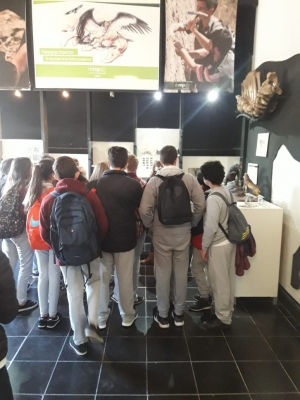 Una escuela de Quilmes visitó el Museo de Ciencias Naturales