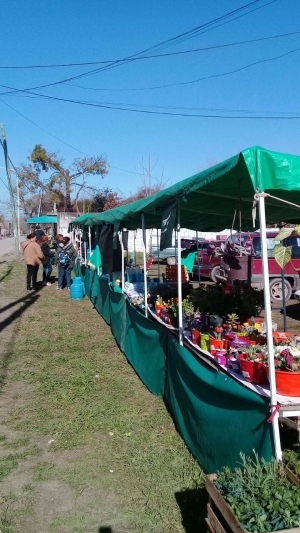 La Feria Municipal recorre los barrios