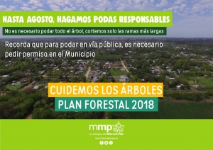 Plan Forestal 2018: poda responsable