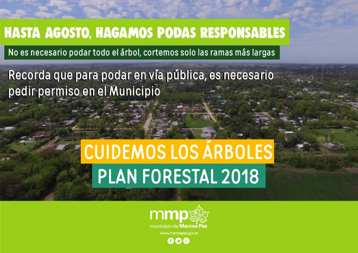 Plan Forestal 2018: poda responsable