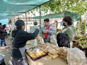 Feria Itinerante en el Paseo de la Estación