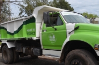 Día Verde