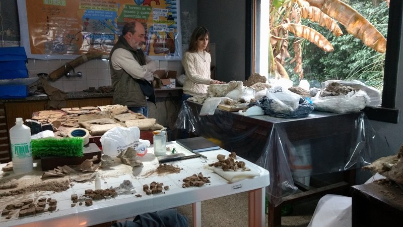 El intendente visitó el Museo de Ciencias Naturales por un nuevo hallazgo paleontológico