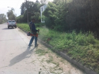 Higiene Urbana