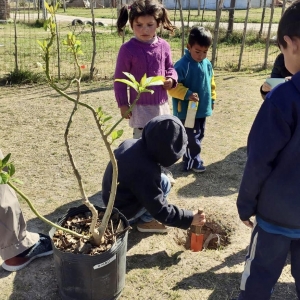 Jornada de plantación de nativas