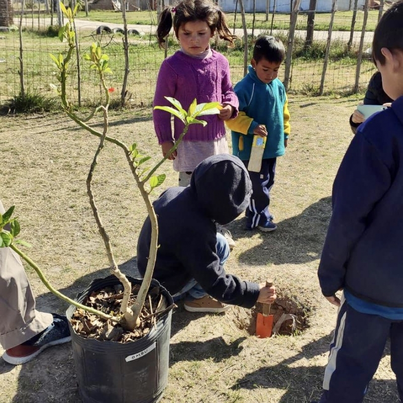 Jornada de plantación de nativas