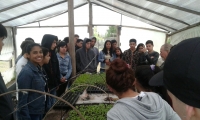Alumnos de Merlo visitan la Huerta Municipal