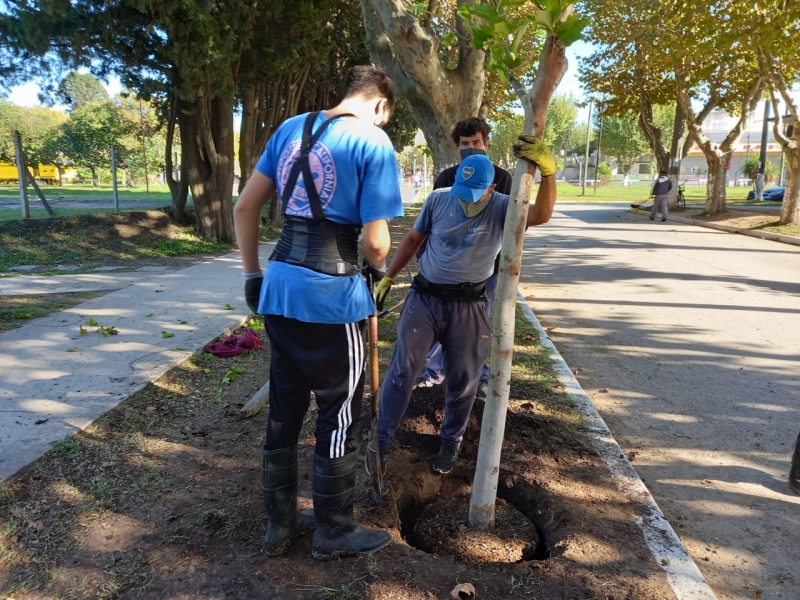 Plan Forestal 2021