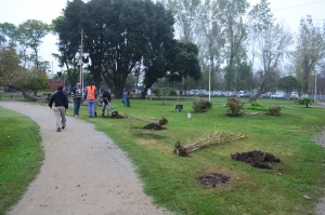 Plan Forestal