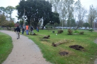 Plan Forestal