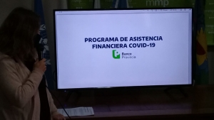 Medidas económicas para los sectores productivos.