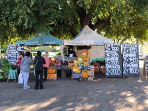 Feria Itinerante en el Paseo de la Estación