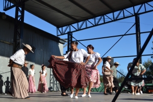 Ciclo de Peñas &quot;Folklore en la Estación&quot;